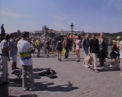 Blonde Beauties in European Interracial Sex Compilation